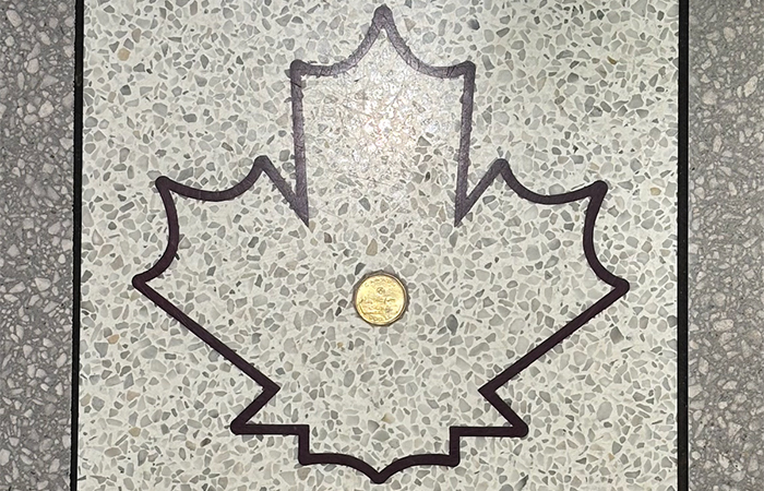 Close-up of the Lucky Loonie